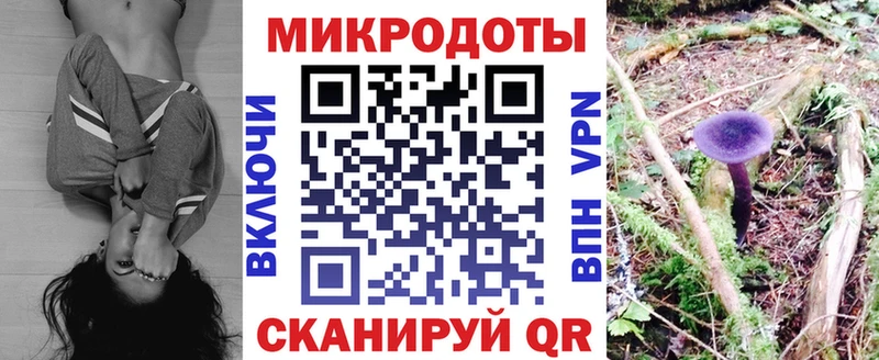 blacksprut   Порхов  Галлюциногенные грибы прущие грибы 